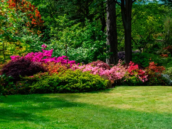 Beautiful Garden with blooming trees during spring time