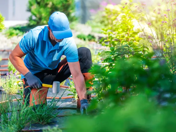 Gardener Tending to Plants in Bright Daylight at a Botanical Garden