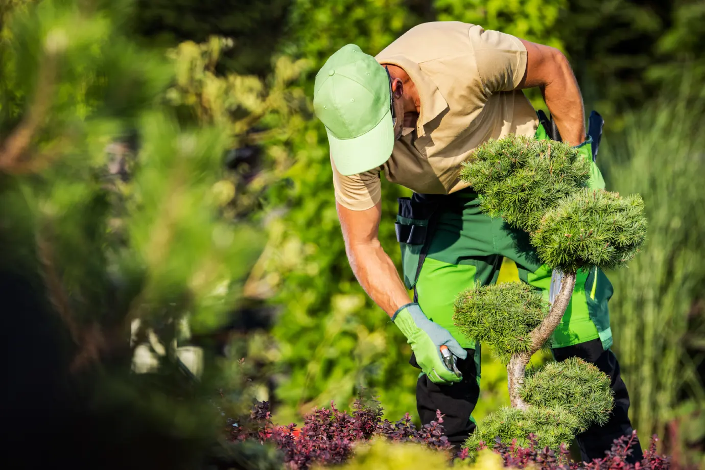 Seasonal Garden Maintenance Performed by a Gardener