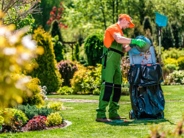 Summer Garden Maintenance