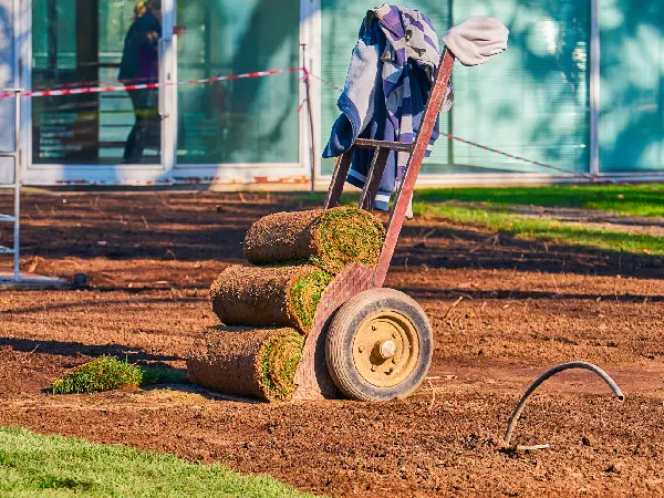 Sod Rolls on Cart in Residential Yard